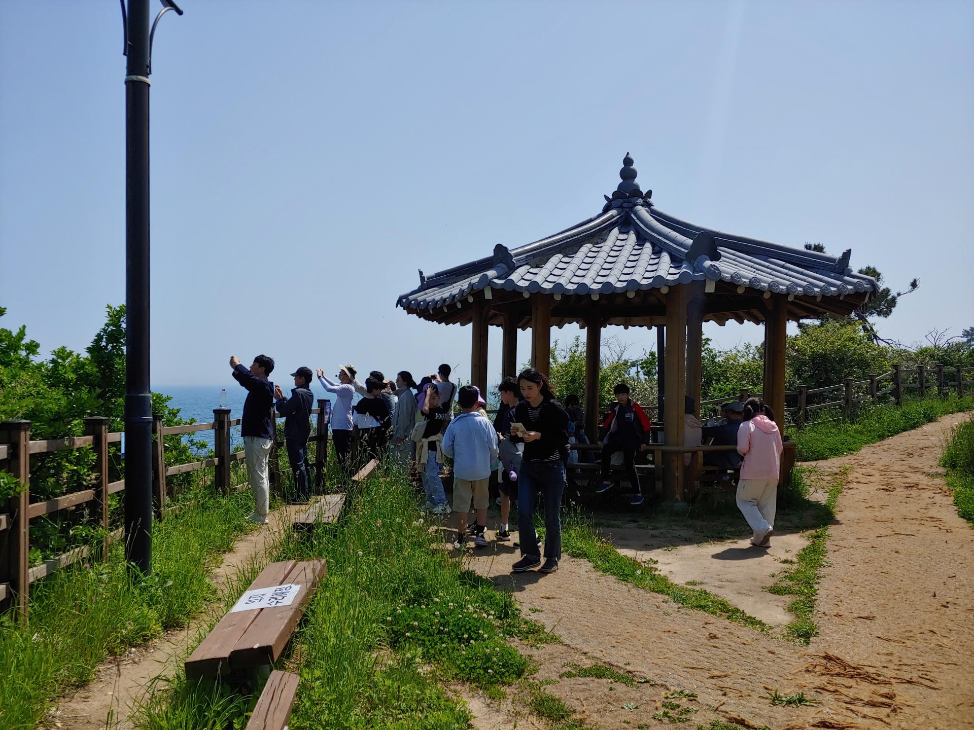 783cf07b1827e.jpg