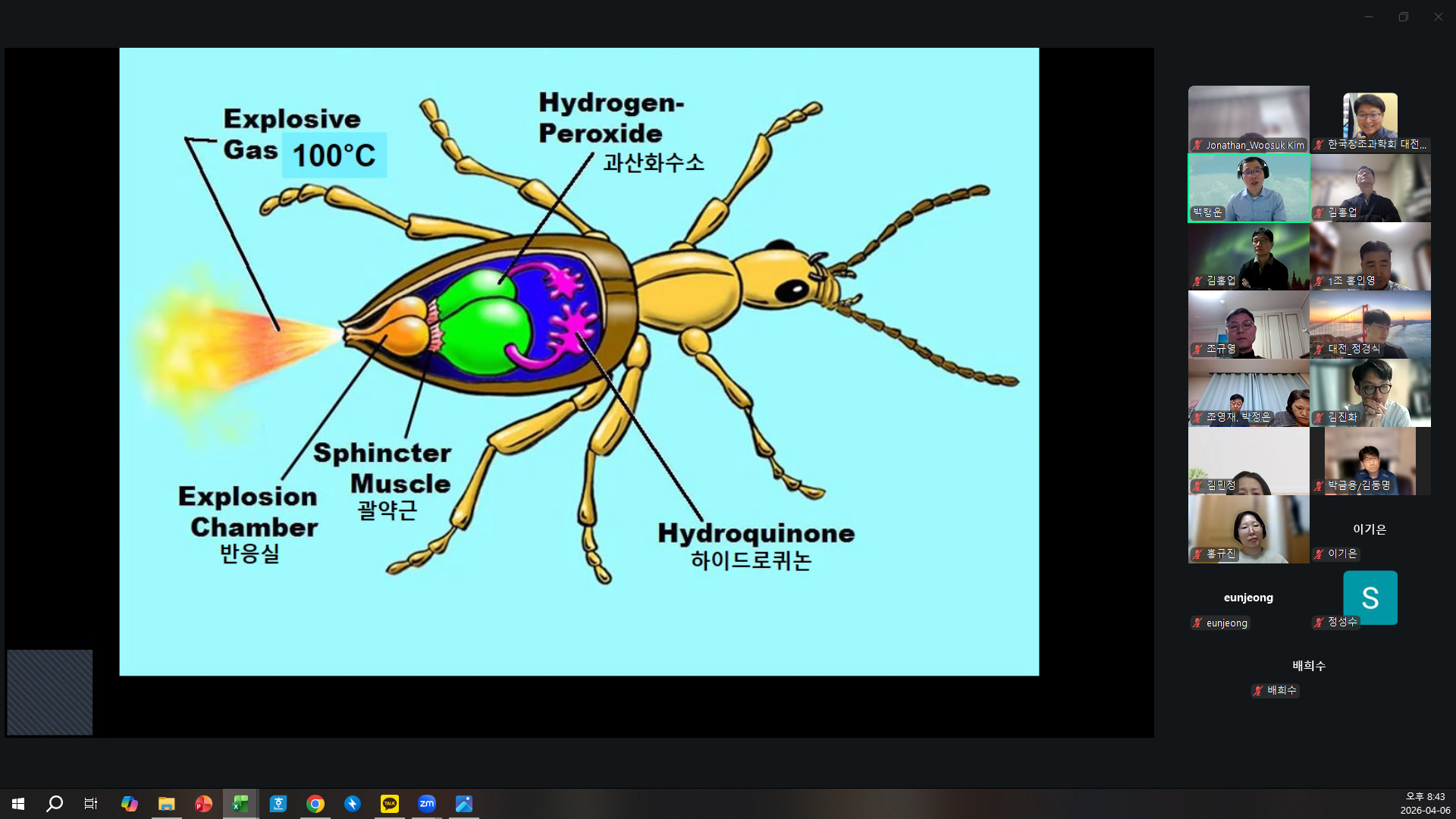 95a2535fe195f.png