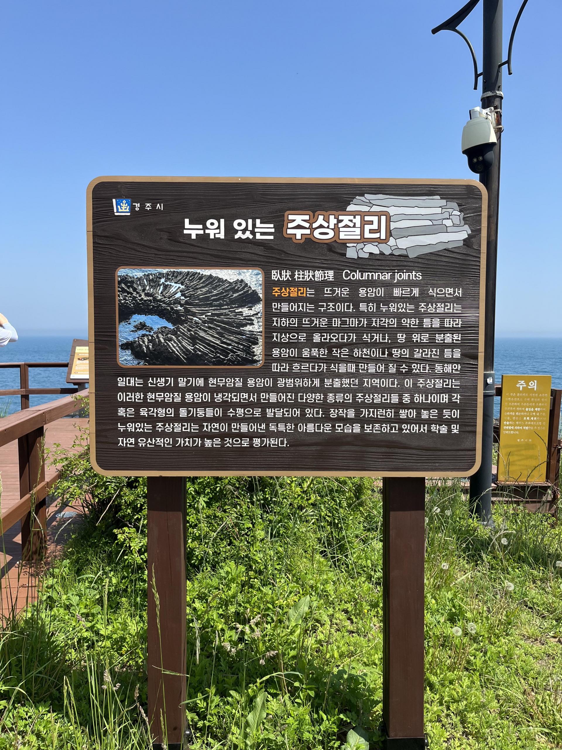 a15ed47308fe6.jpg