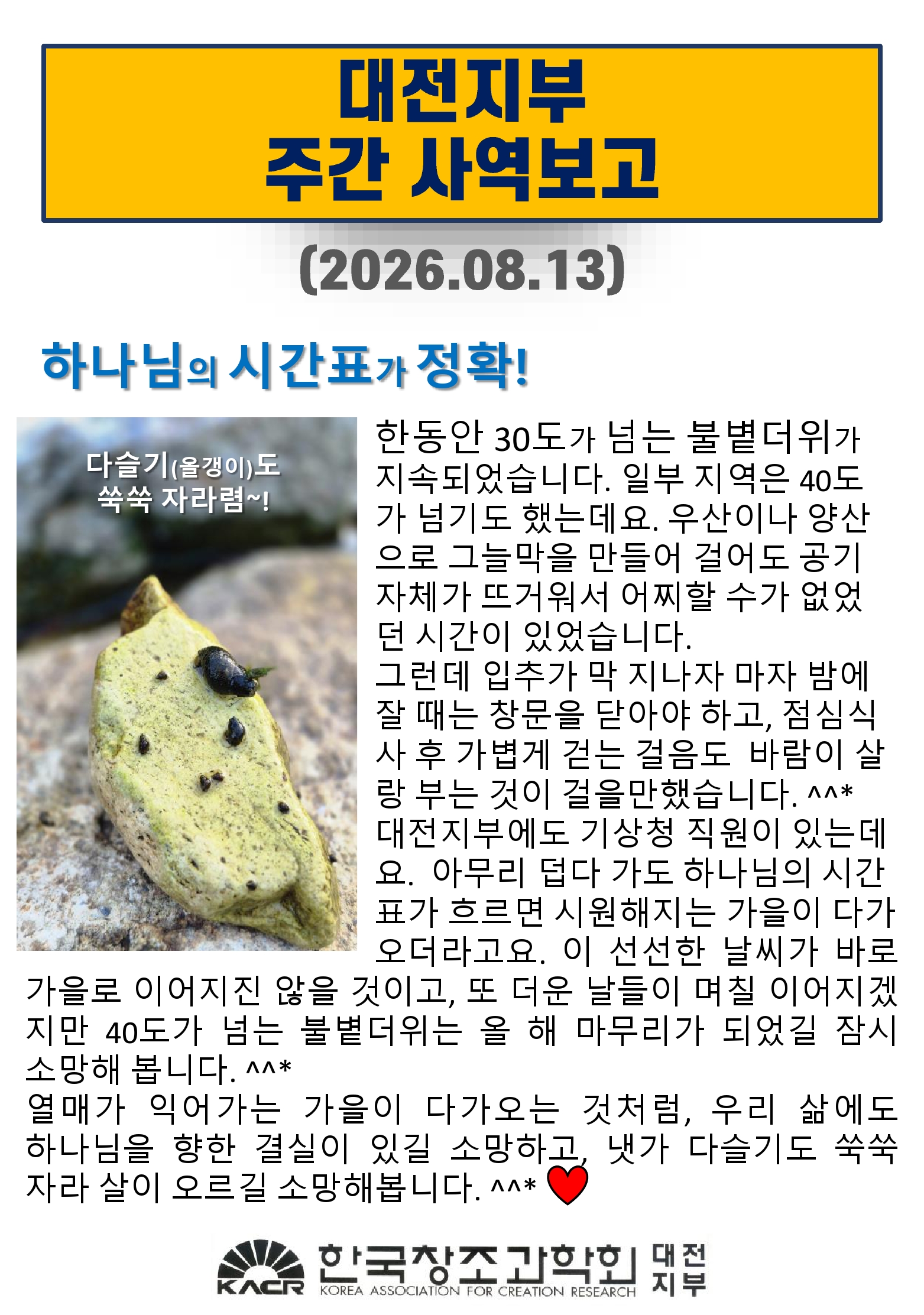 ac63cb0e78804.jpg