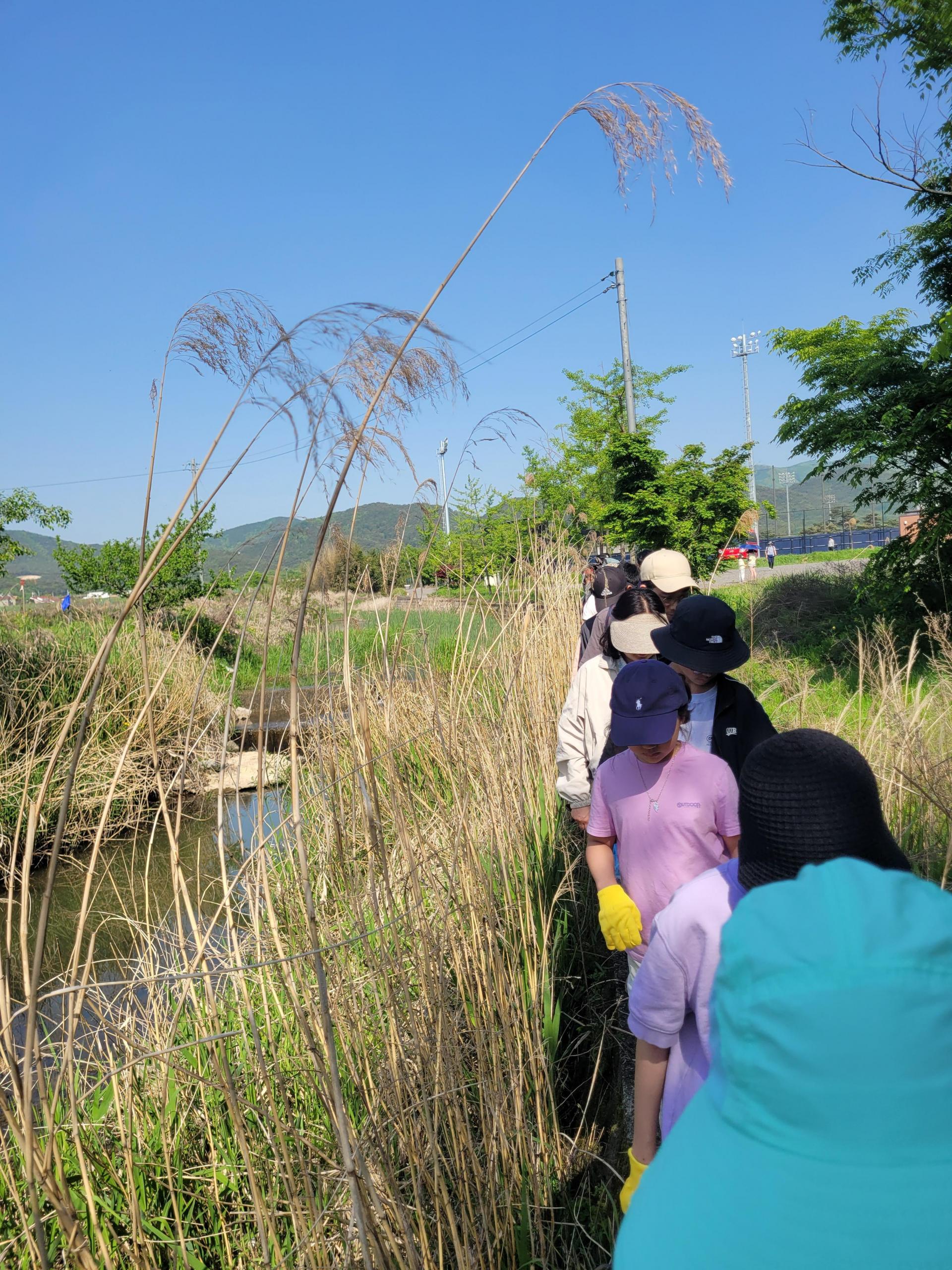 b94f724d52cc2.jpg