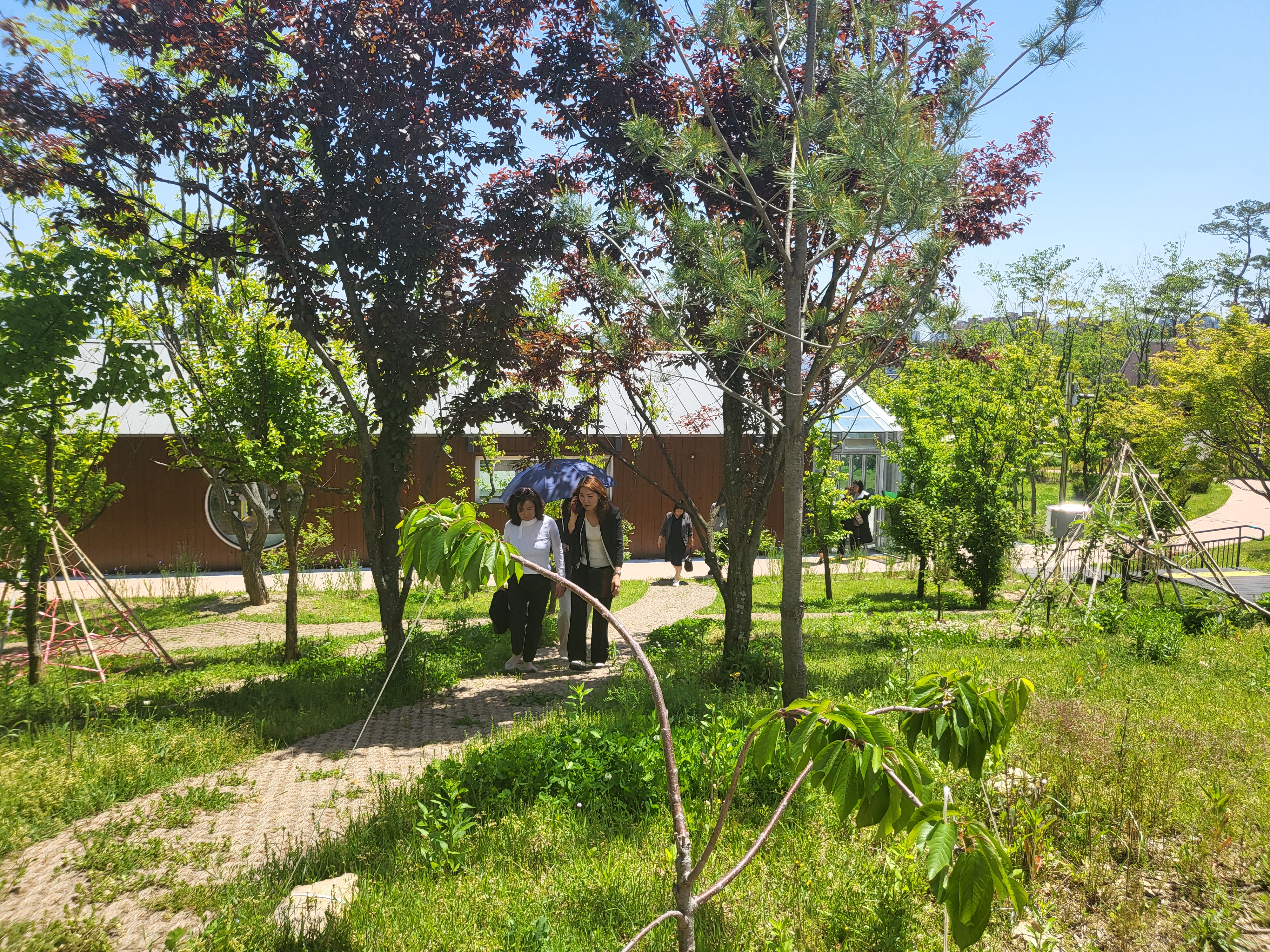 09d0725f42932.jpg