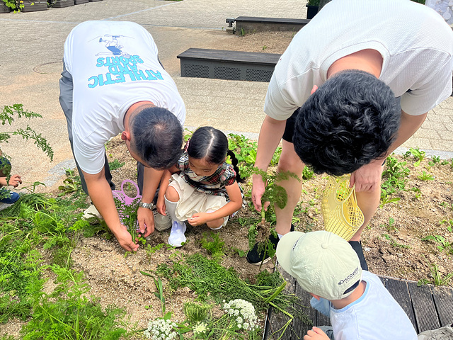16c87be9ec352.jpg