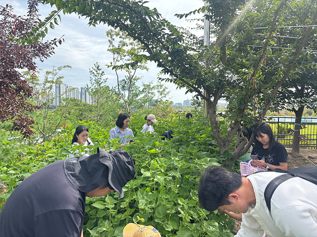 c8261e9ed01c7.jpg