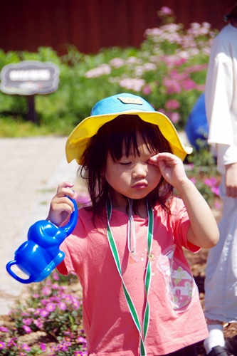 d881311782e40.jpg