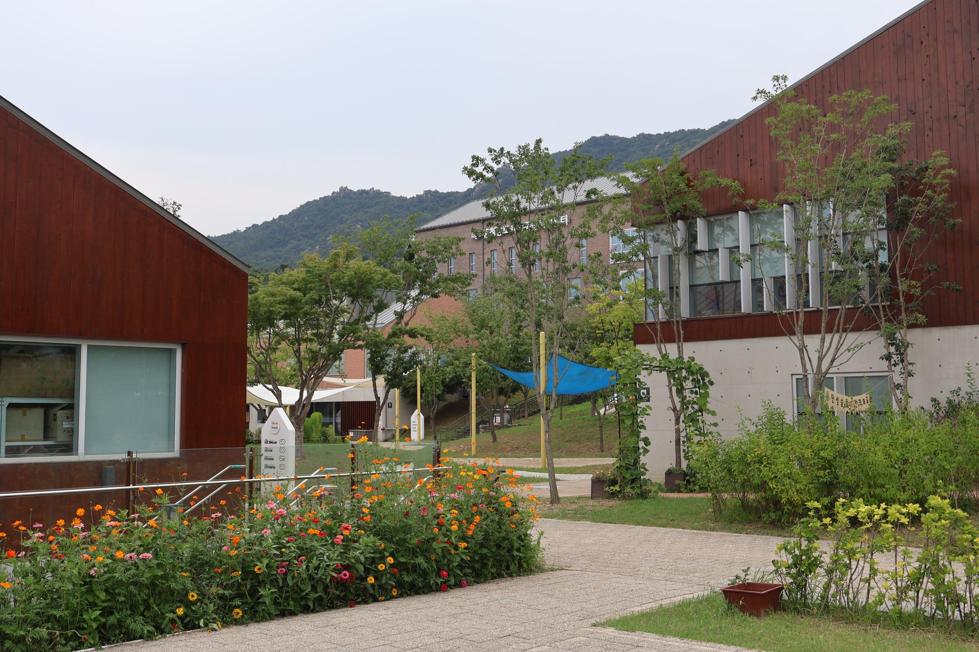 e5297d5b168b3.jpg
