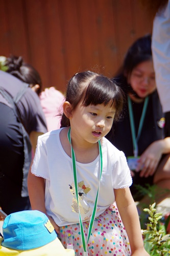 e5d50b188a2ff.jpg