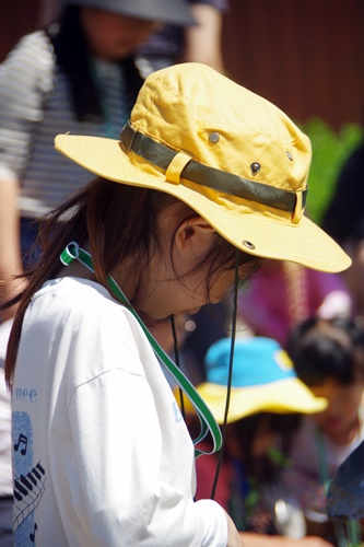fe64172a42091.jpg