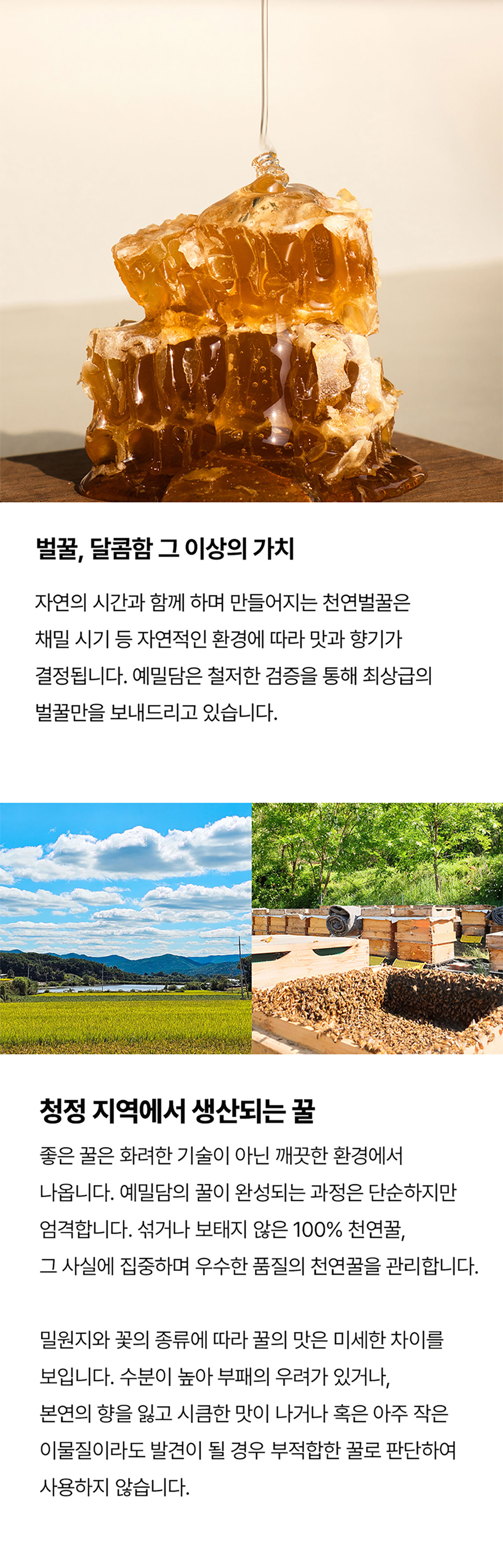 COLLECTION 허니스틱 컬렉션 | 싱글 (아카시아꿀 x 60포, 600g)