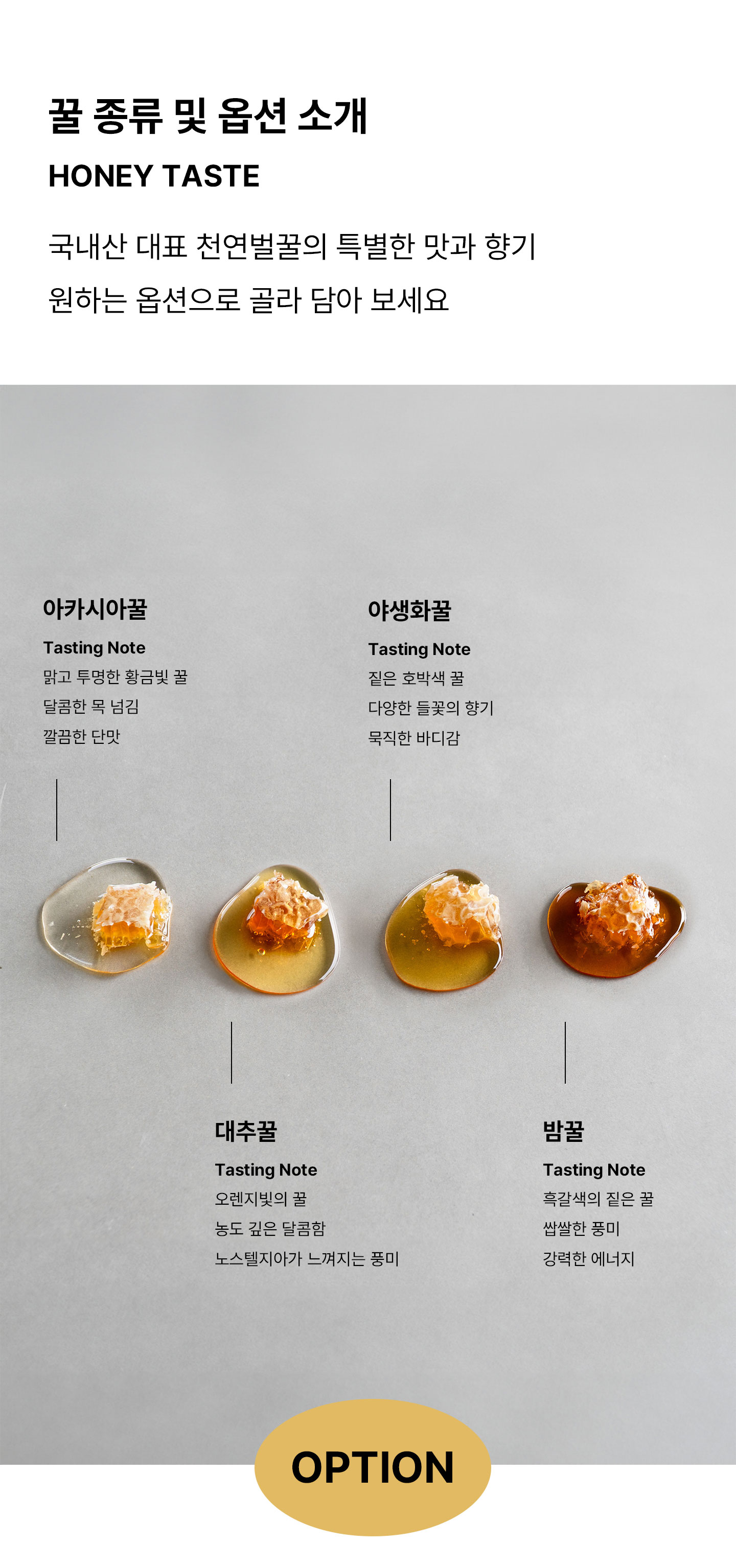 COLLECTION 허니스틱 컬렉션 | 싱글 (아카시아꿀 x 60포, 600g)