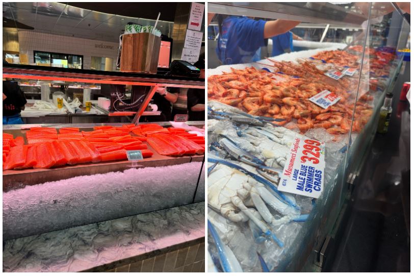 d15b99d2edace.jpg