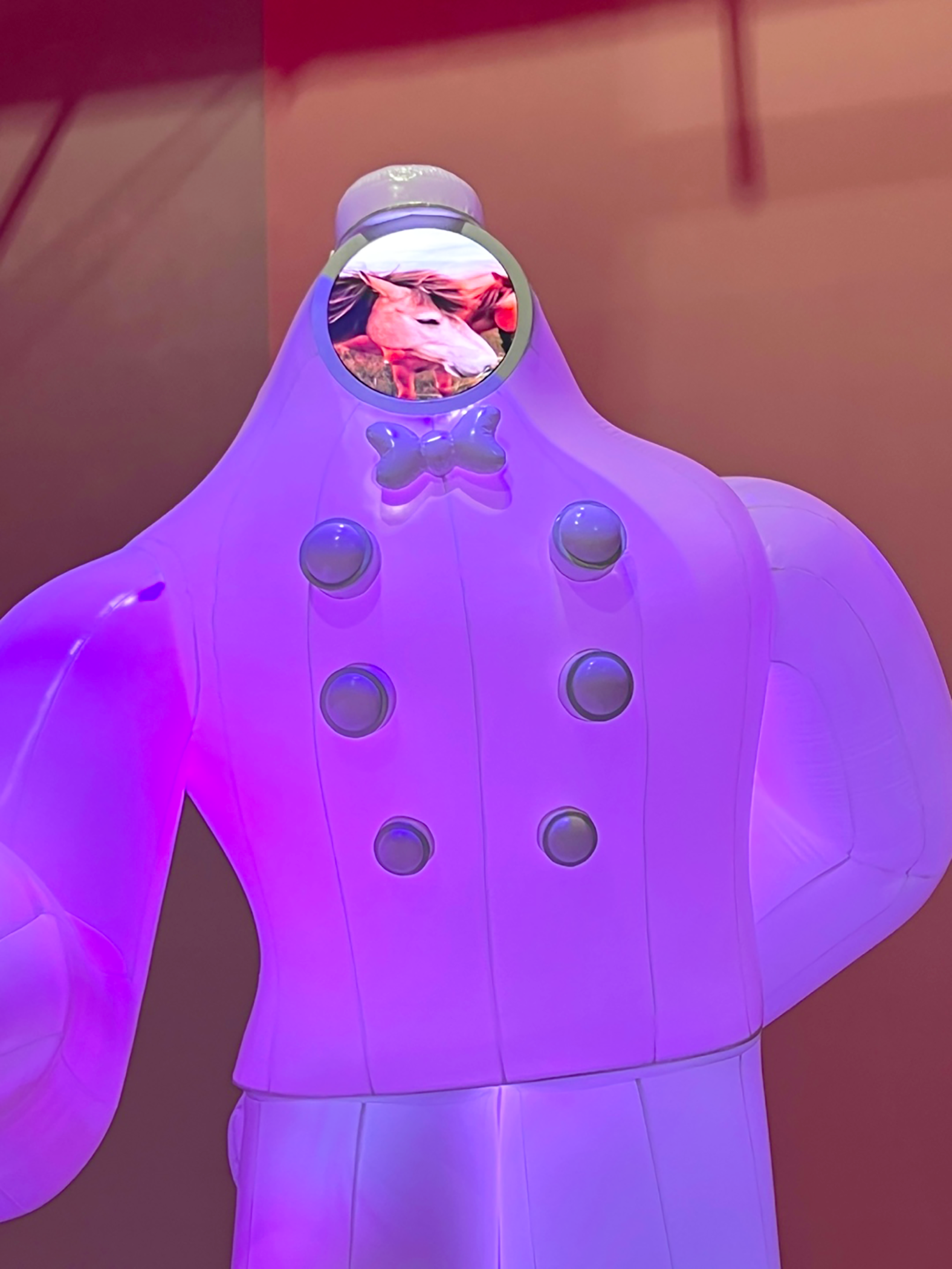 4de65e48e9d2c.png