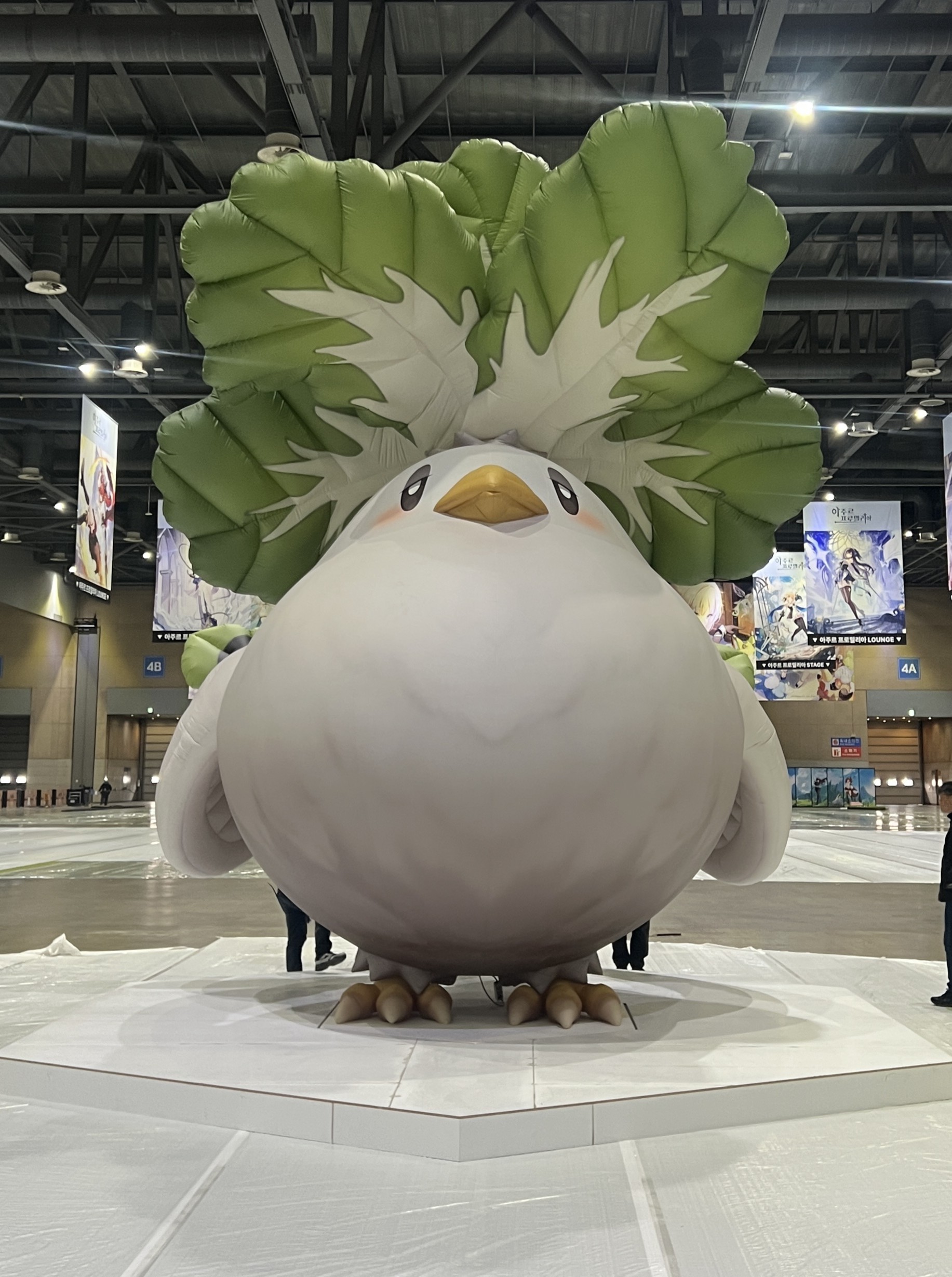 a1af48453f25f.jpg