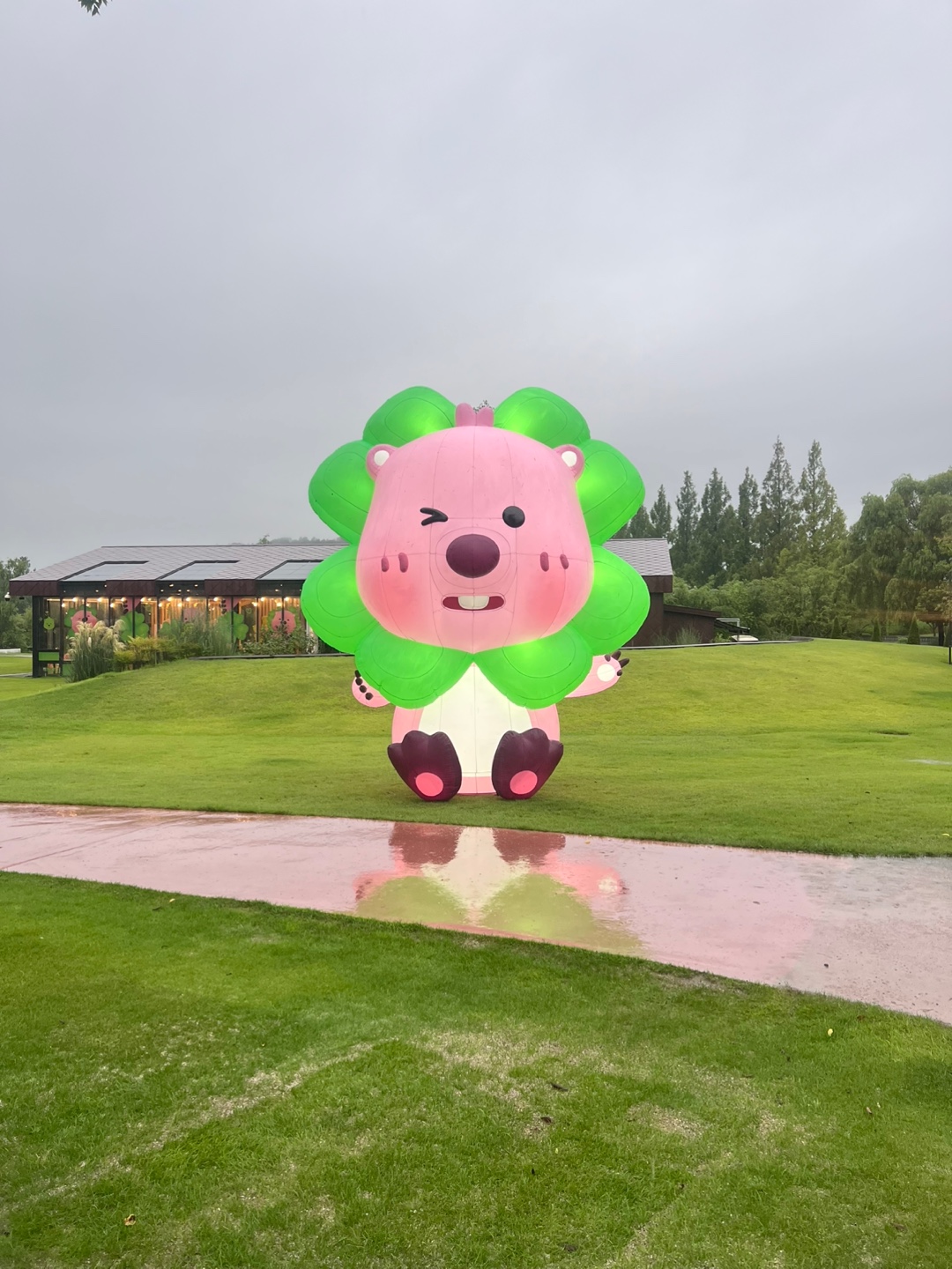 aff979c09c5d6.jpg