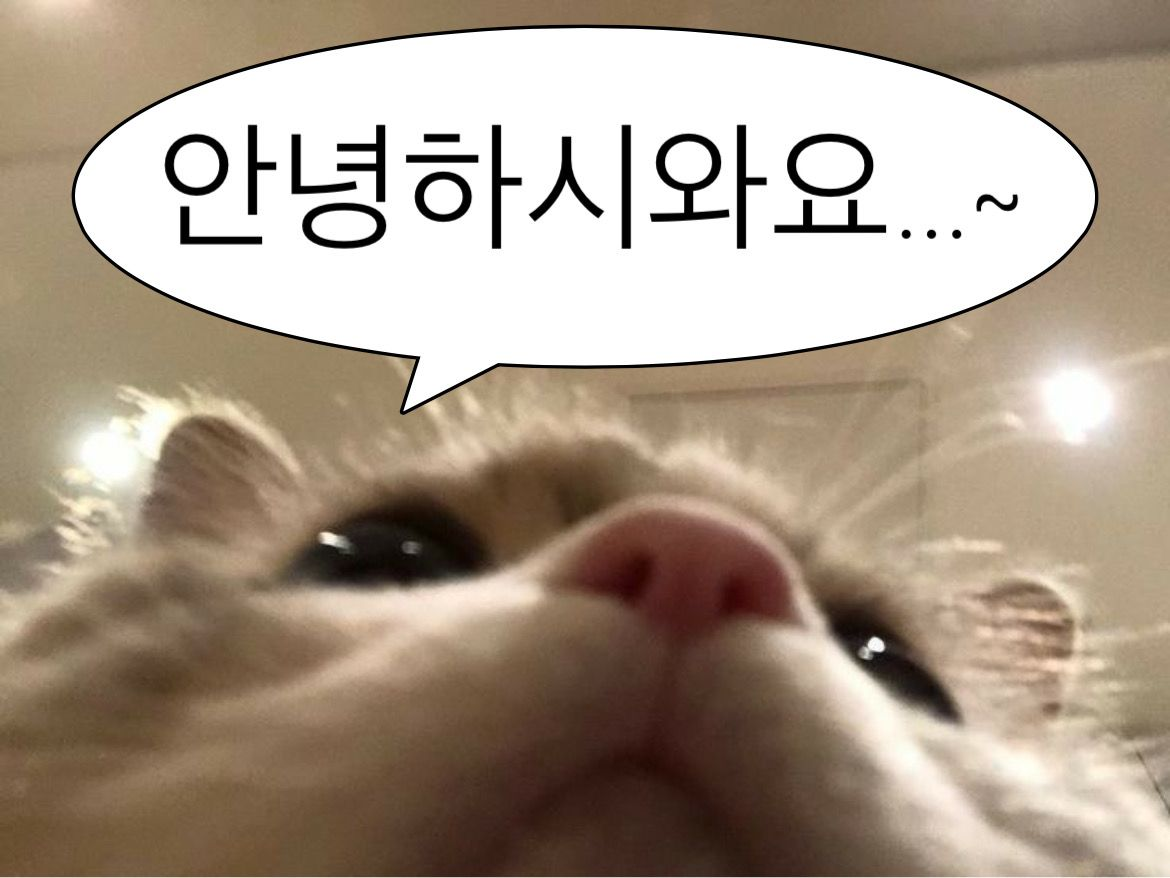 389d51dae5ca2.png