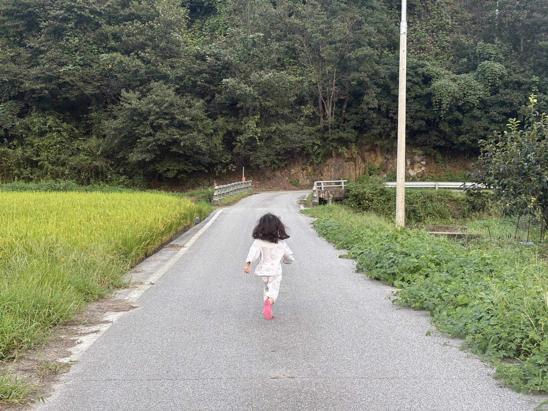 9d9635179db04.jpeg