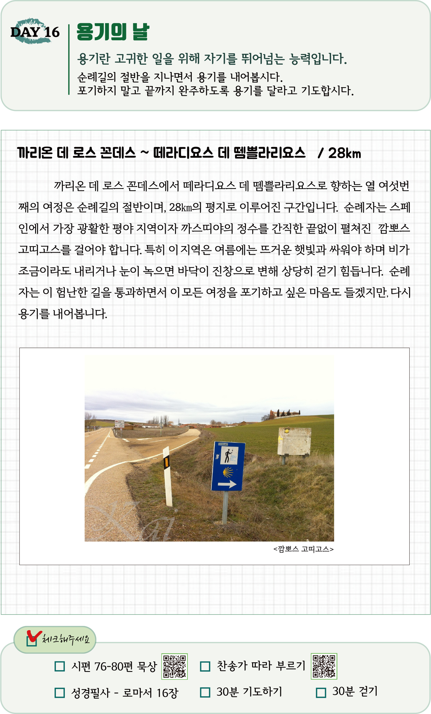 016cfa16d617a.jpg