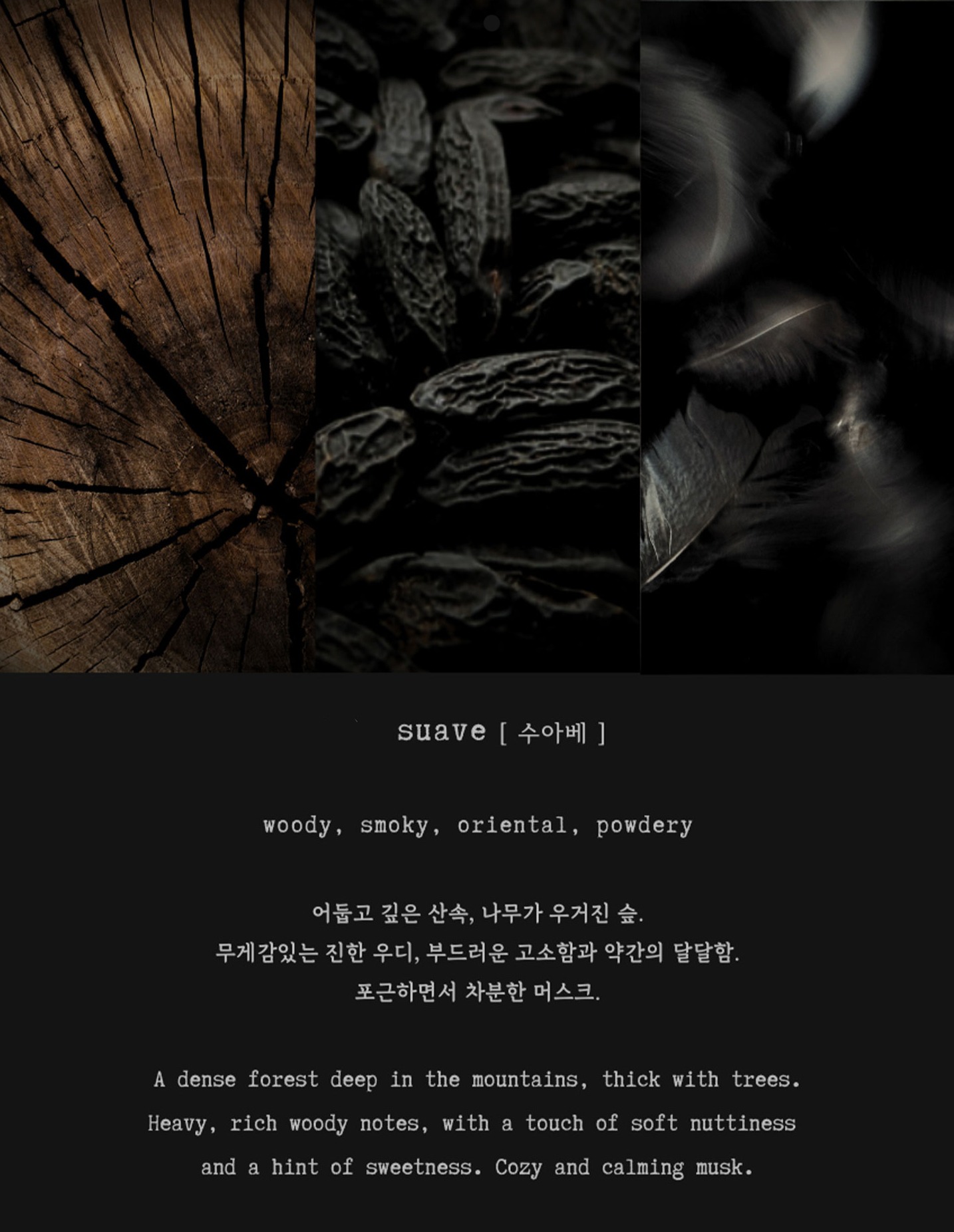 [GIFT] 보스케 | 캔들&트레이 세트