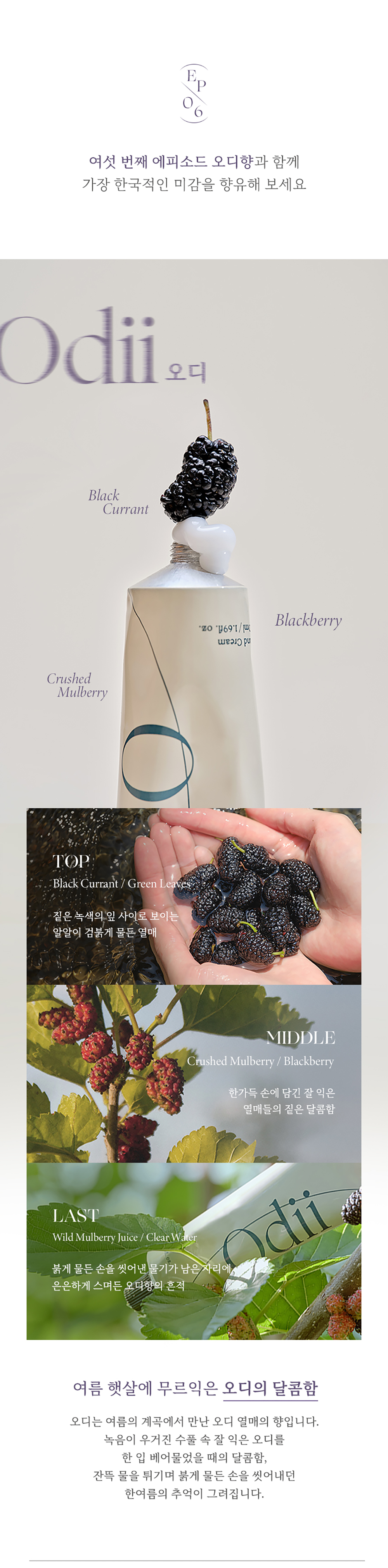 [취 CHWI] 비건 핸드크림 50ml | 6종