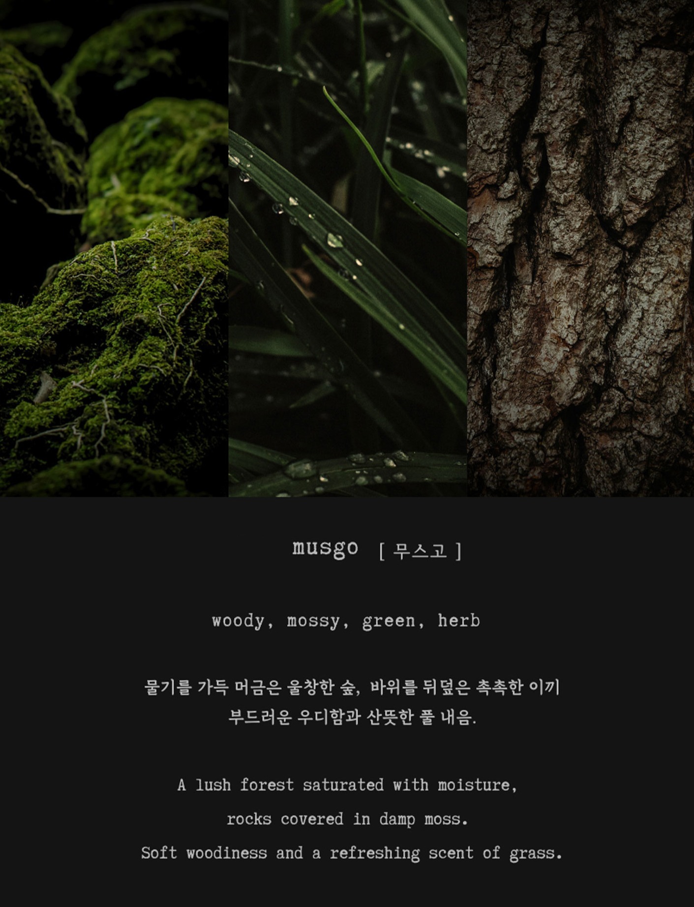 [GIFT] 보스케 | 캔들&트레이 세트