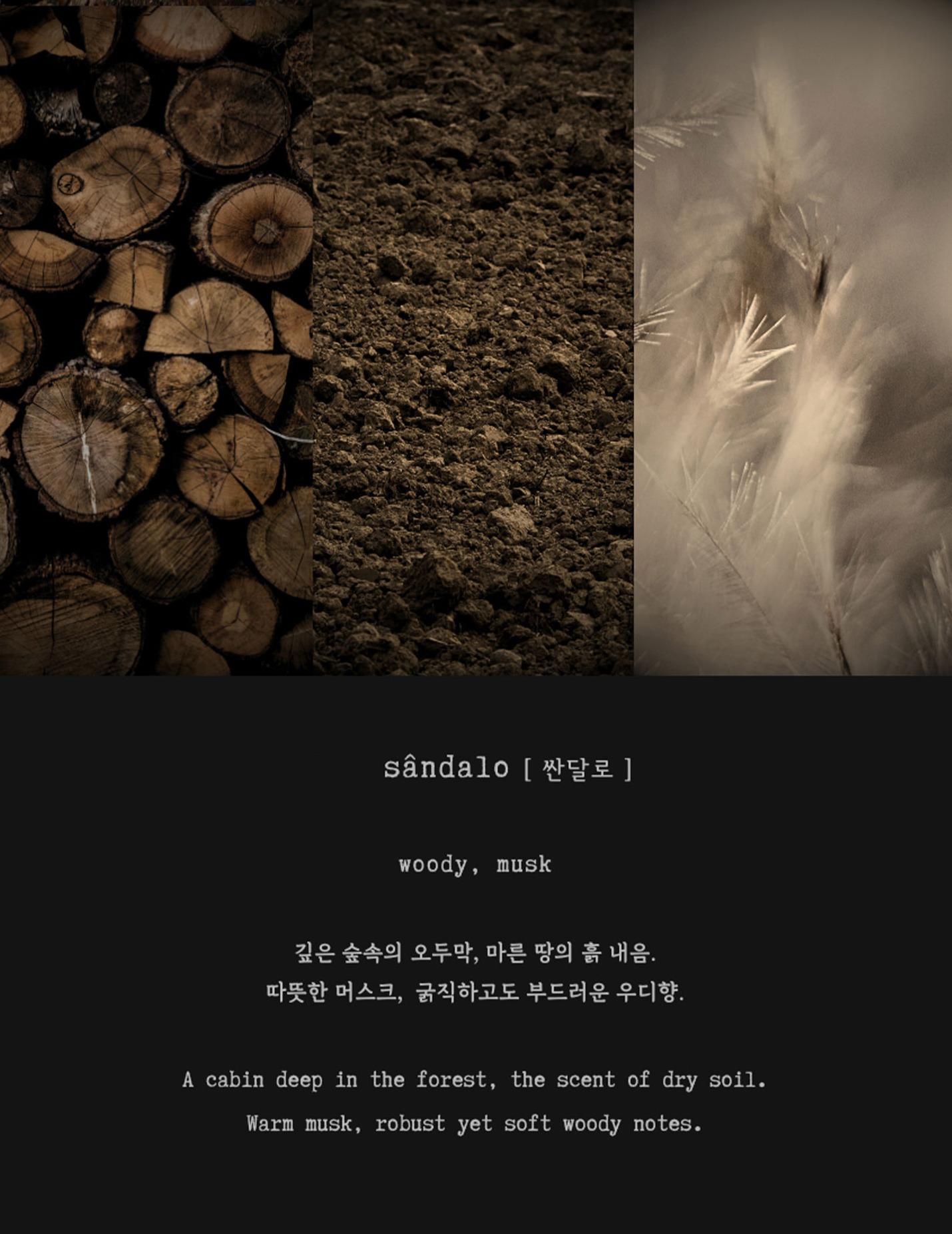 [GIFT] 보스케 | 캔들&트레이 세트