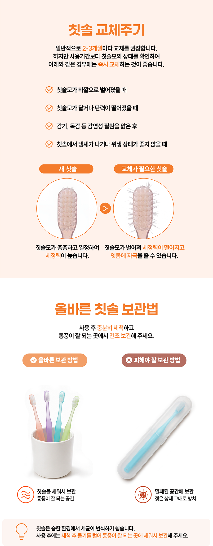 (실속팩) 러블리티스 데일리 엠보싱 칫솔 12개입