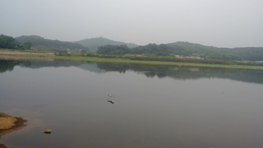 5a3365d92265e.png