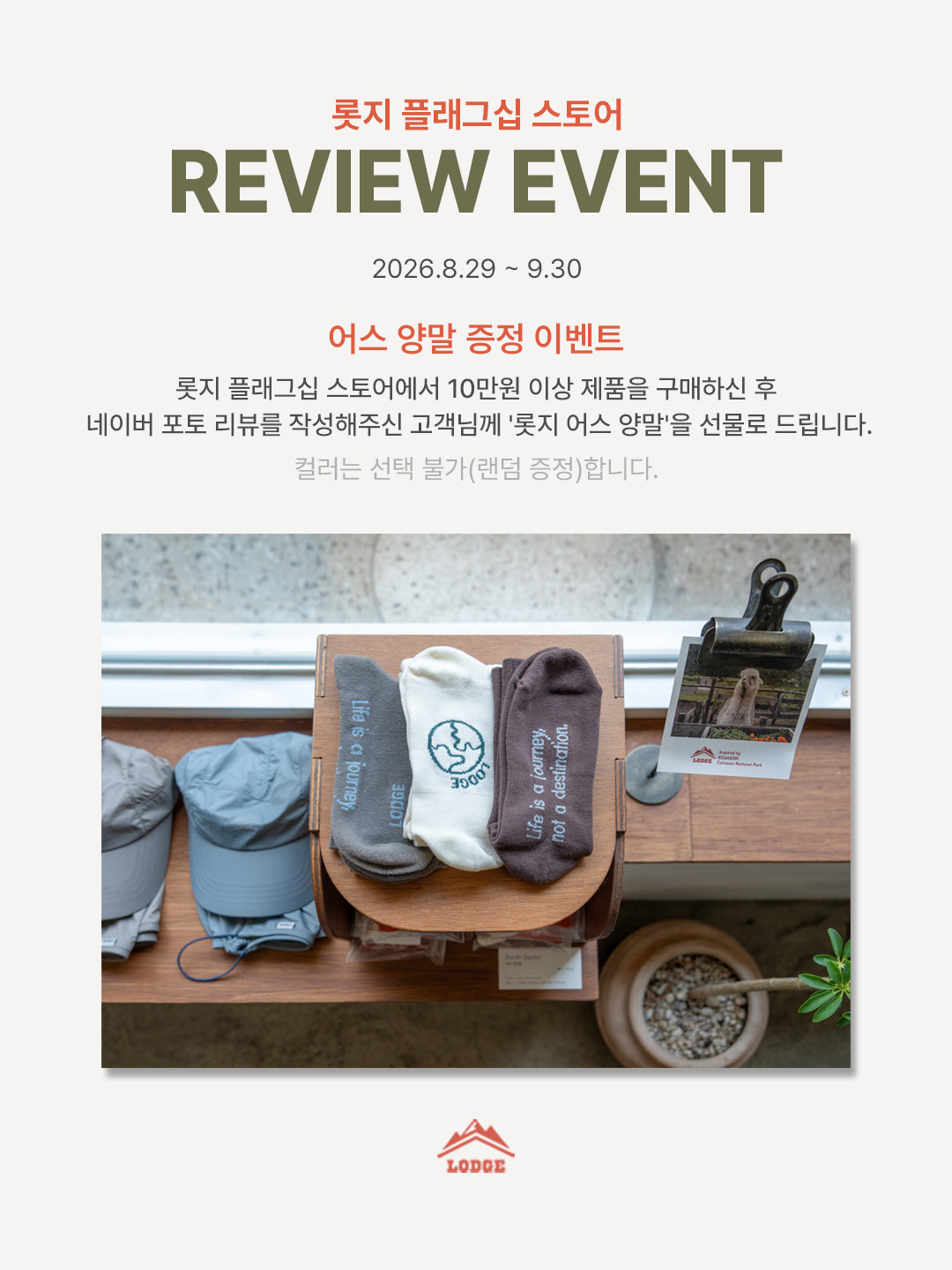 양말 증정 이벤트.jpg