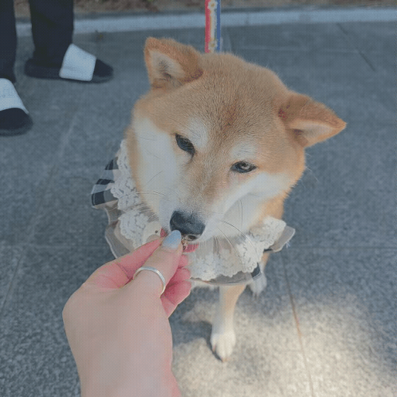 0040221006e8f.gif