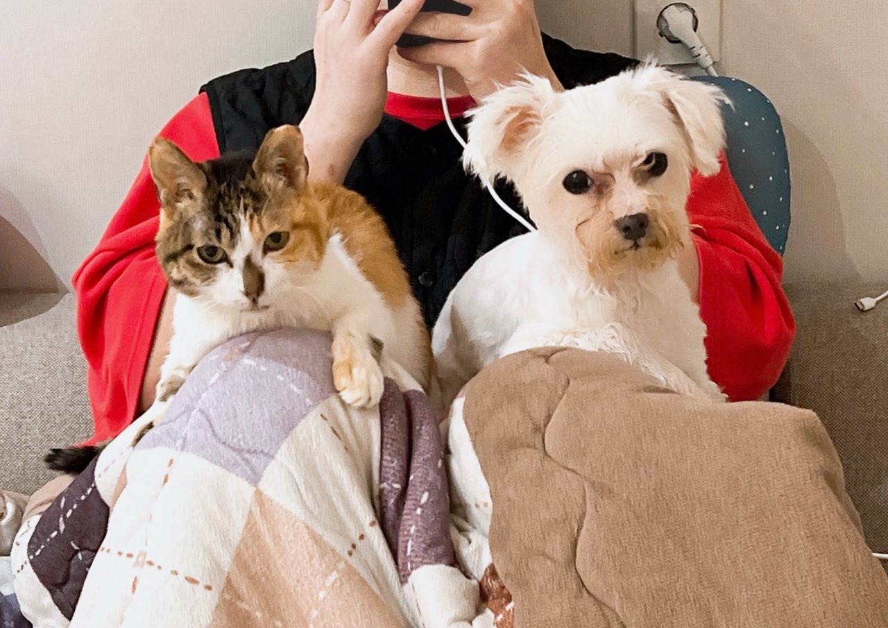 062c217722be8.jpg
