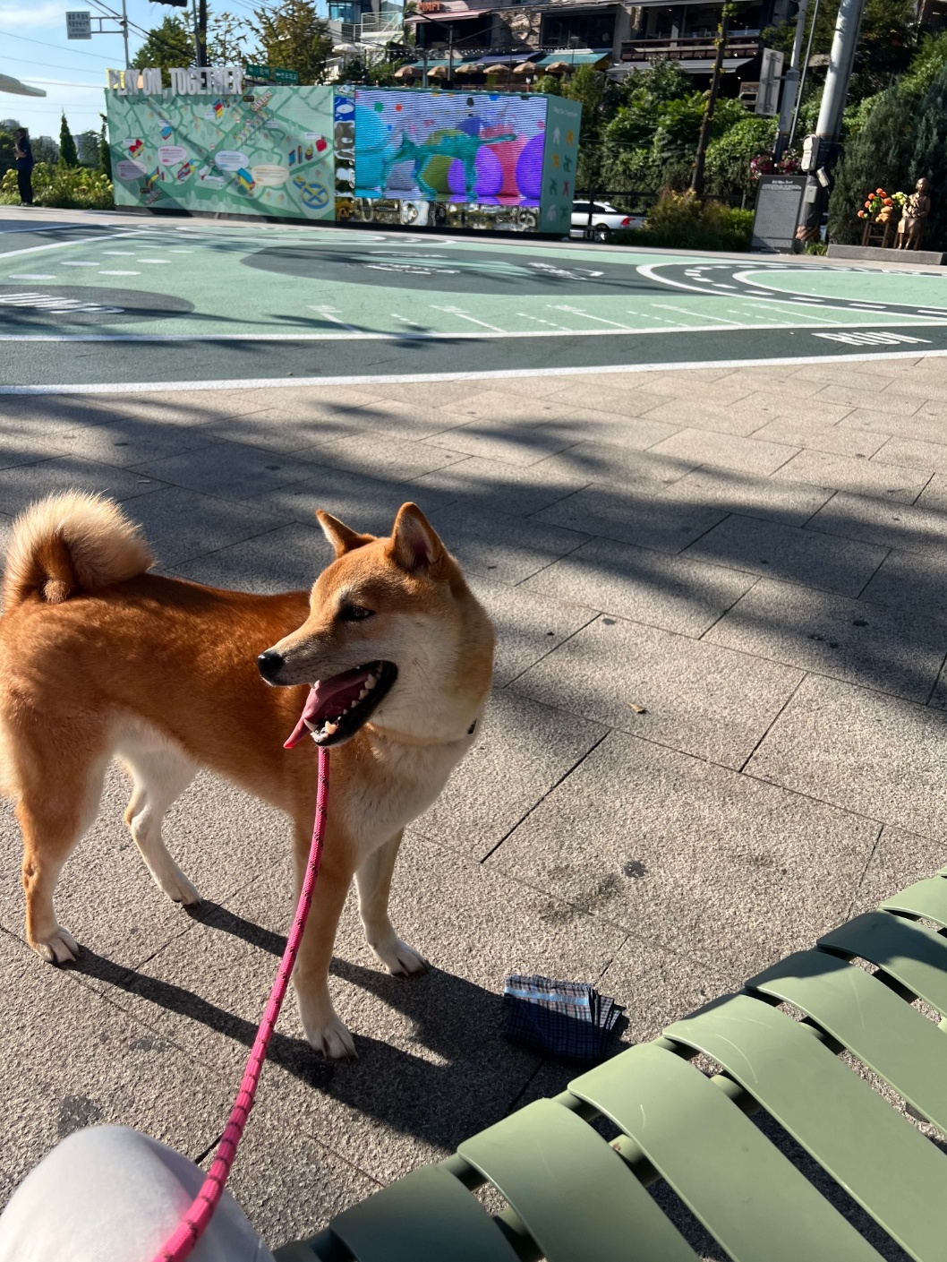 081782b36d8f0.jpg