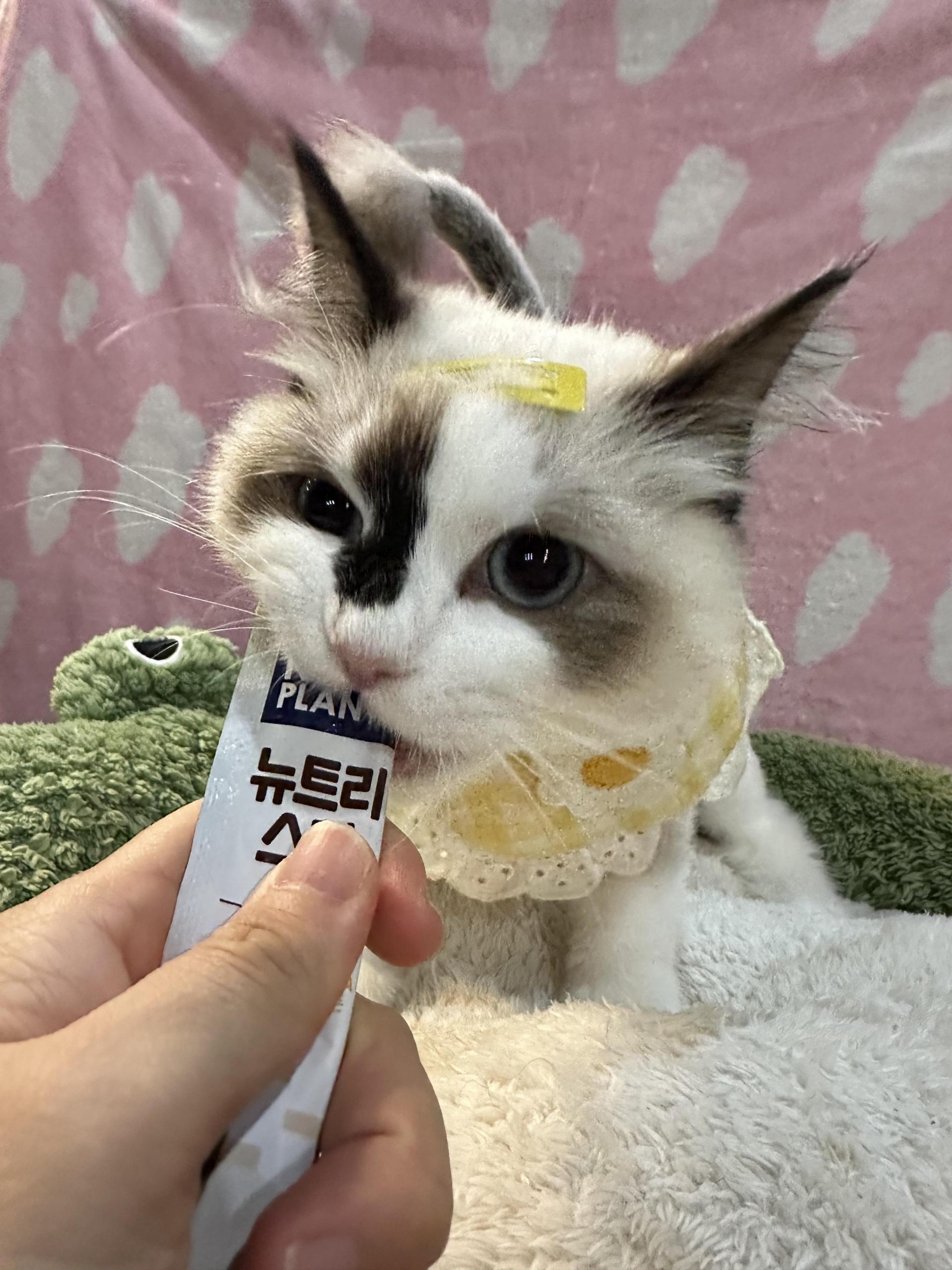 0ab6f5b8abbe7.jpg