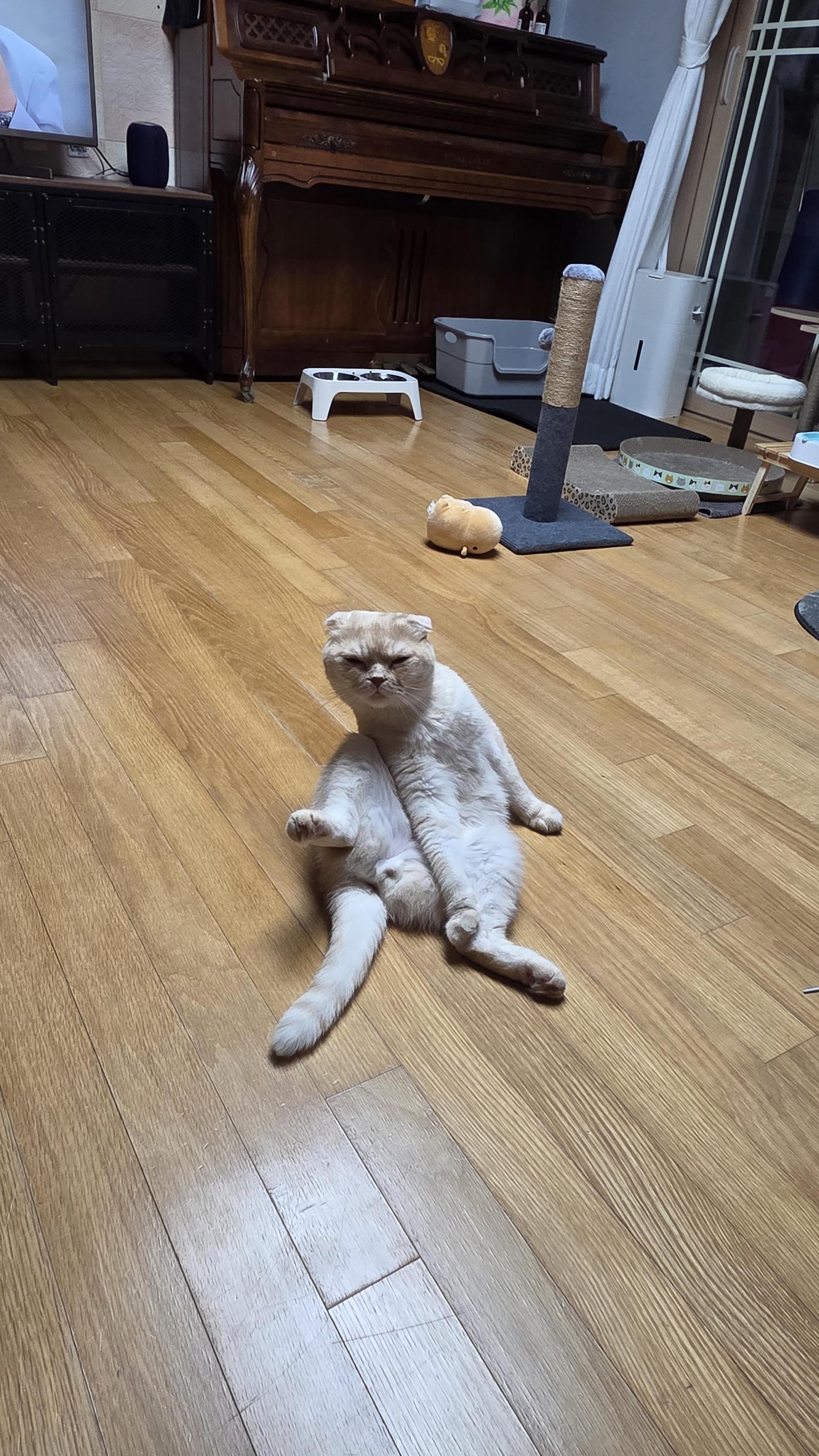0f8d34cf316a8.jpg