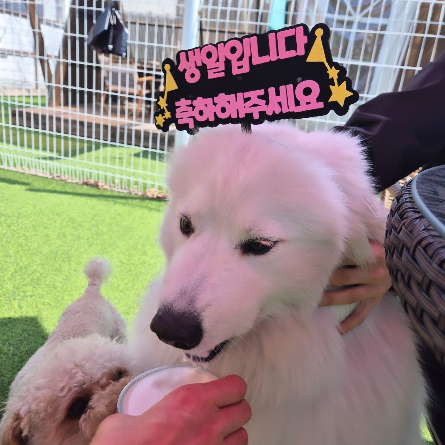 104526816d7d9.jpg
