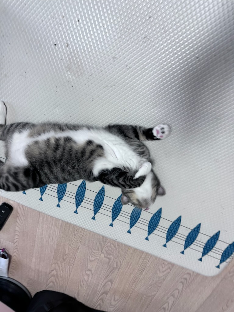 107899bc4a4fc.jpg