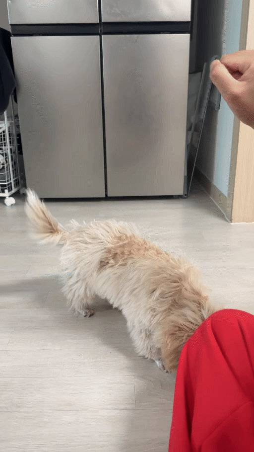 142154e804458.gif