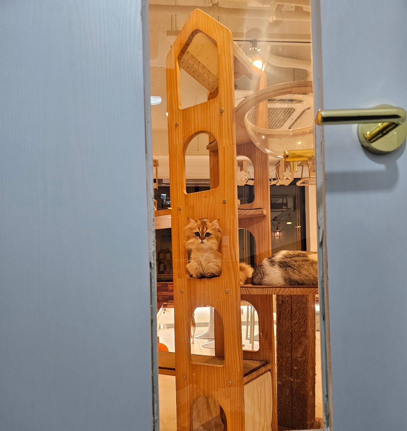 1530f5d180166.jpg