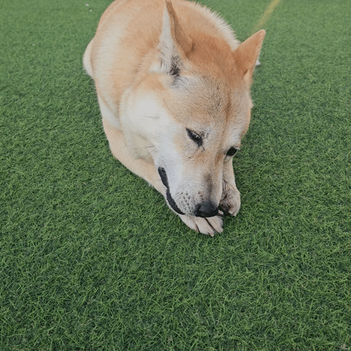 1a534340553ad.gif