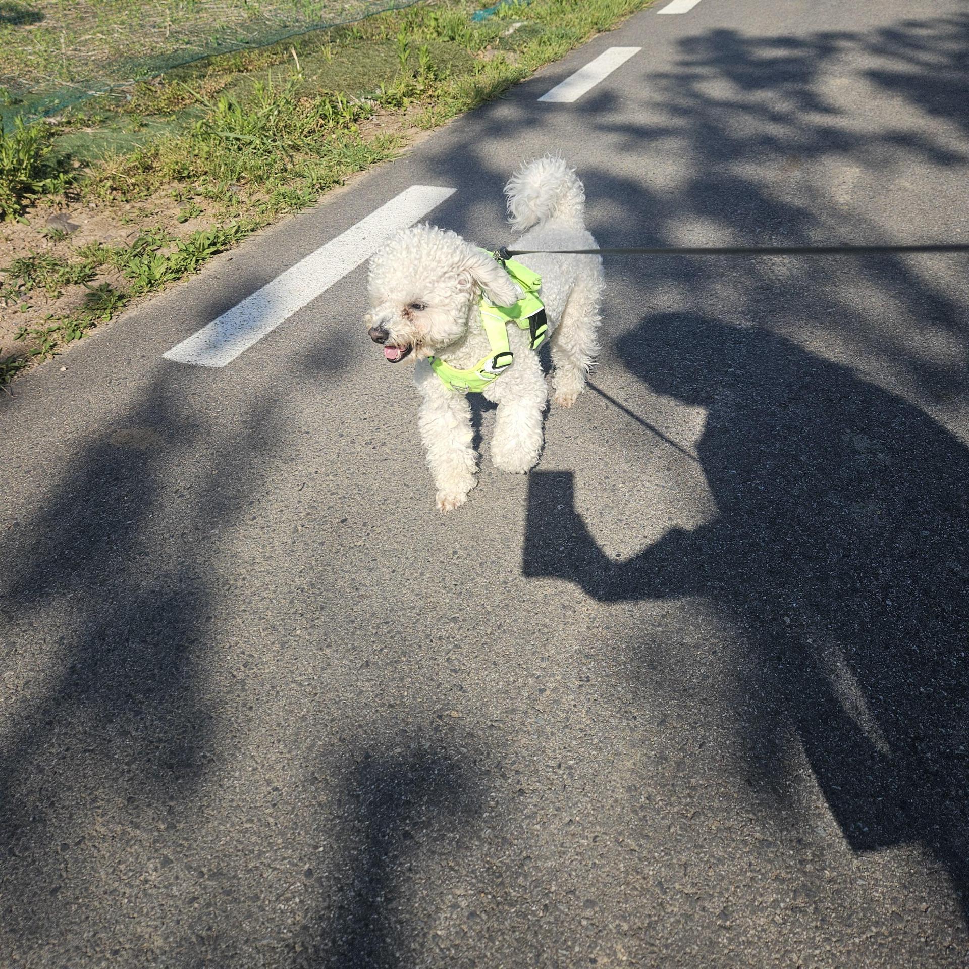 1c41099c4be0c.jpg