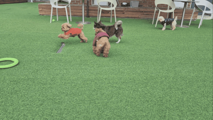 220736a543480.gif