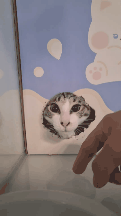 2257f190404d7.gif
