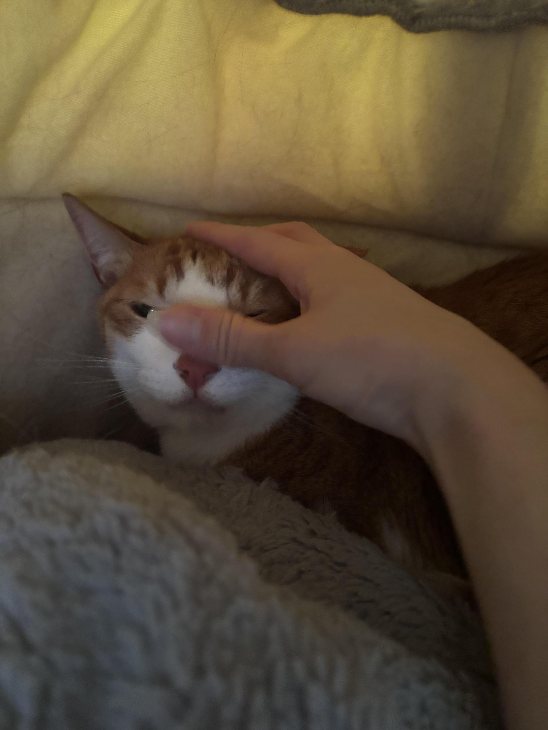 2374926c84cb2.jpg