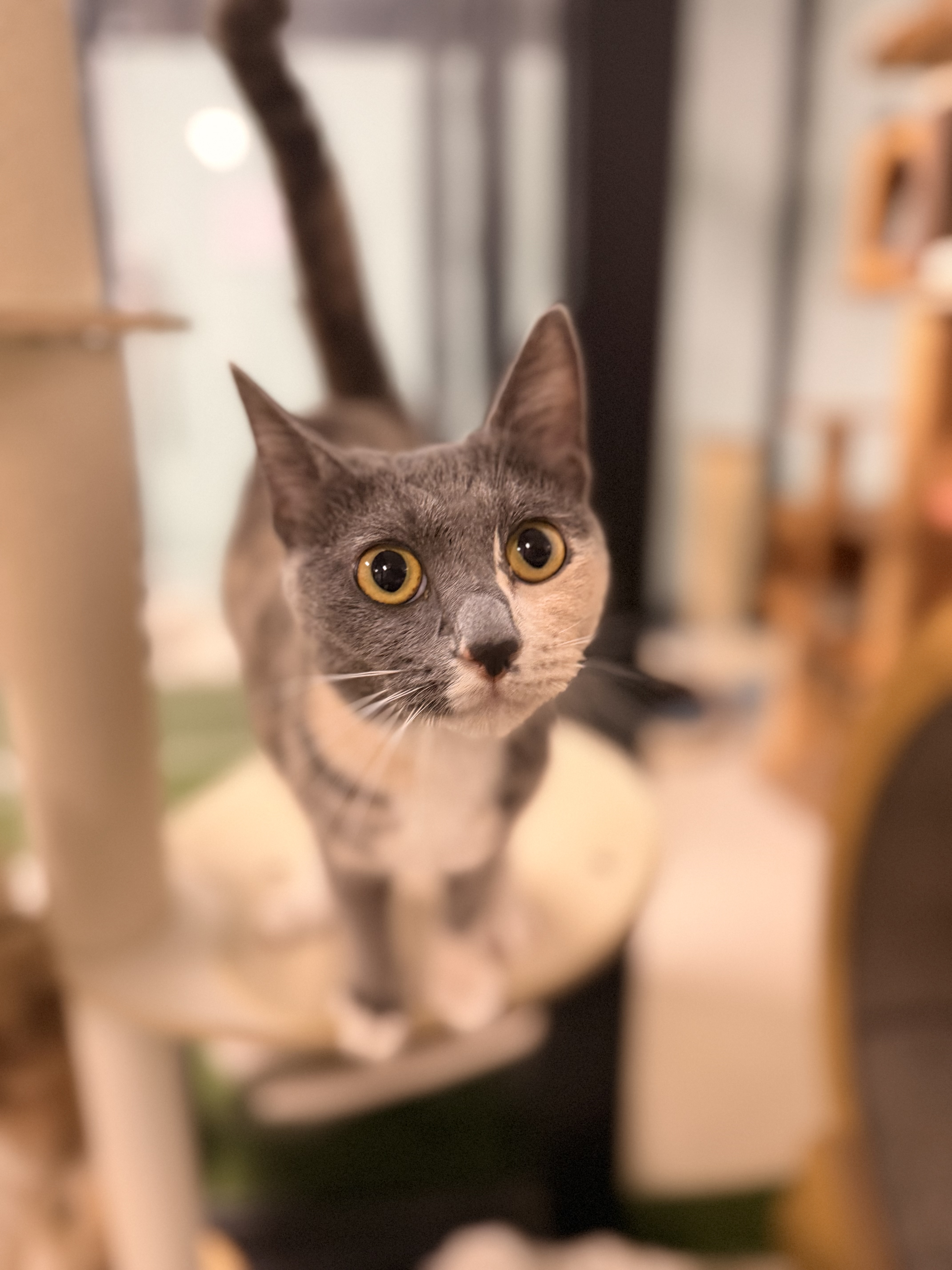 2428a2618945d.jpg
