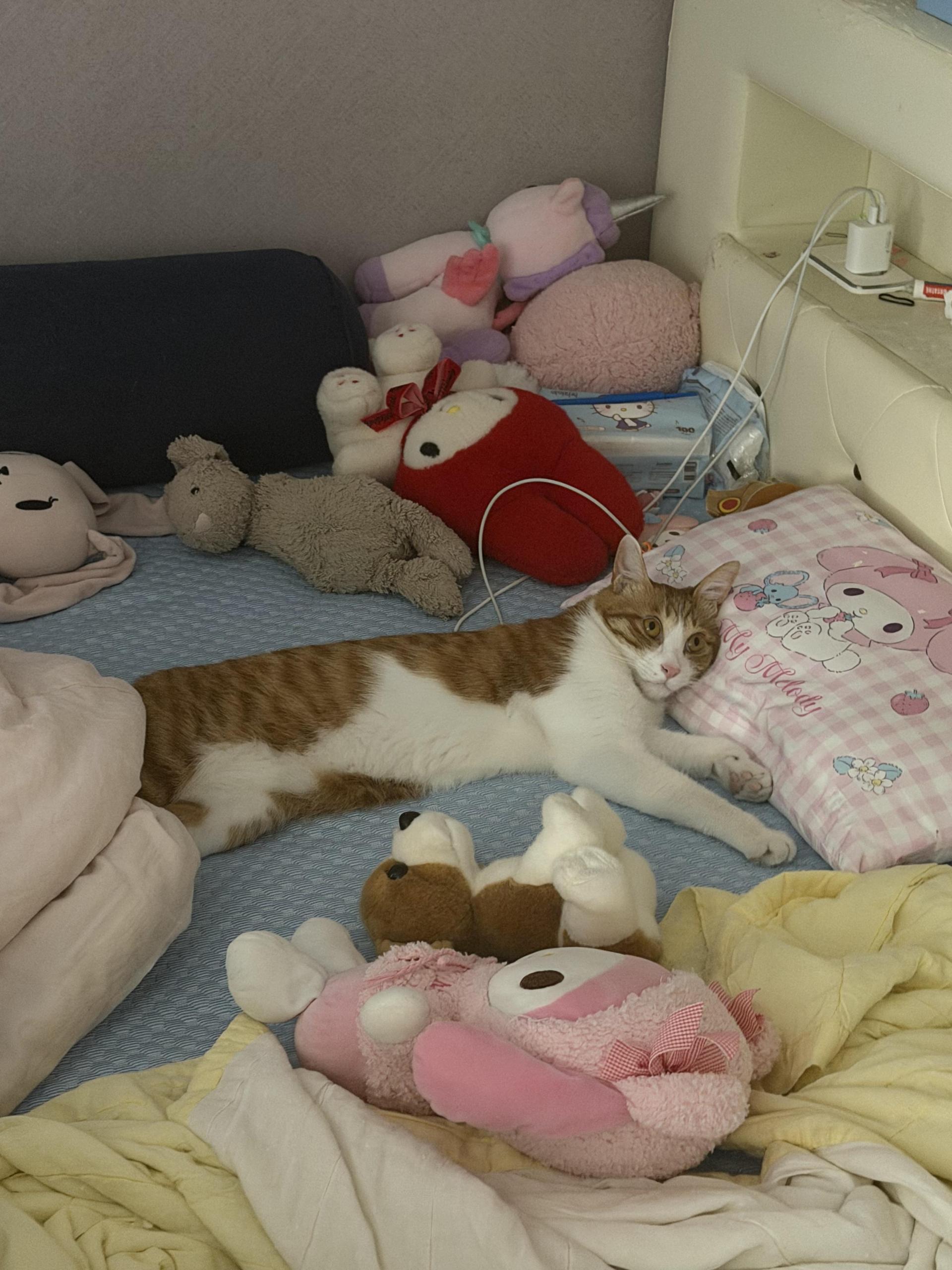 27fb1d0513308.jpg