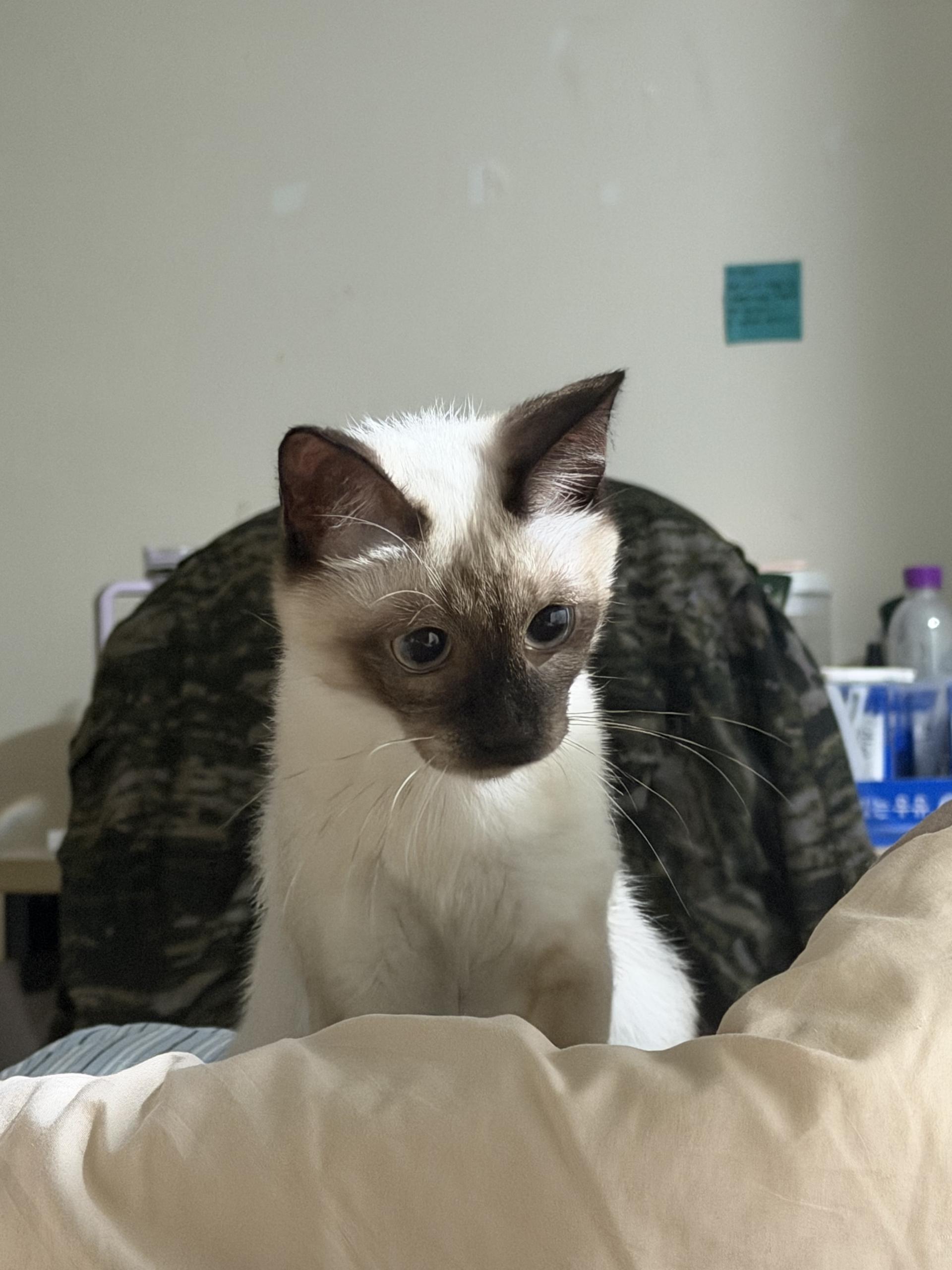 2933218d84ce1.jpg