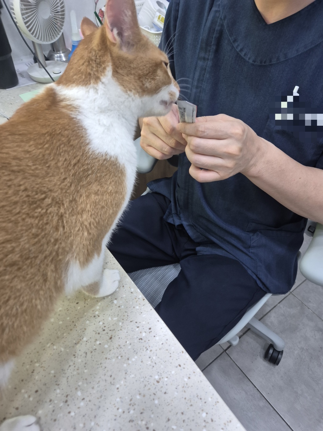 2a2c8367394a5.jpg