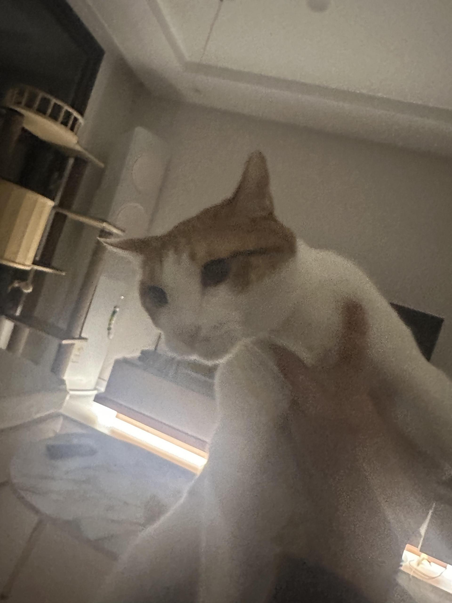 3791af678aea2.jpeg