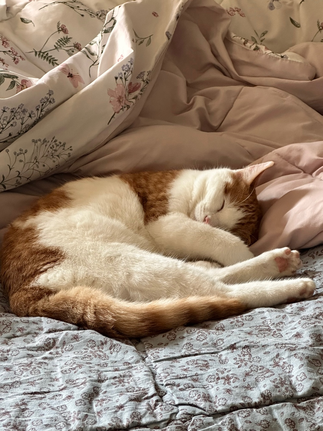 3a3a7fb728861.jpg