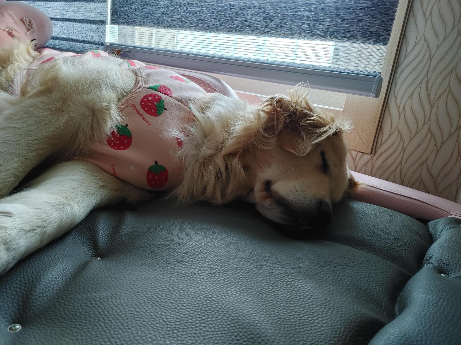 3f3e75a4fb75a.jpg