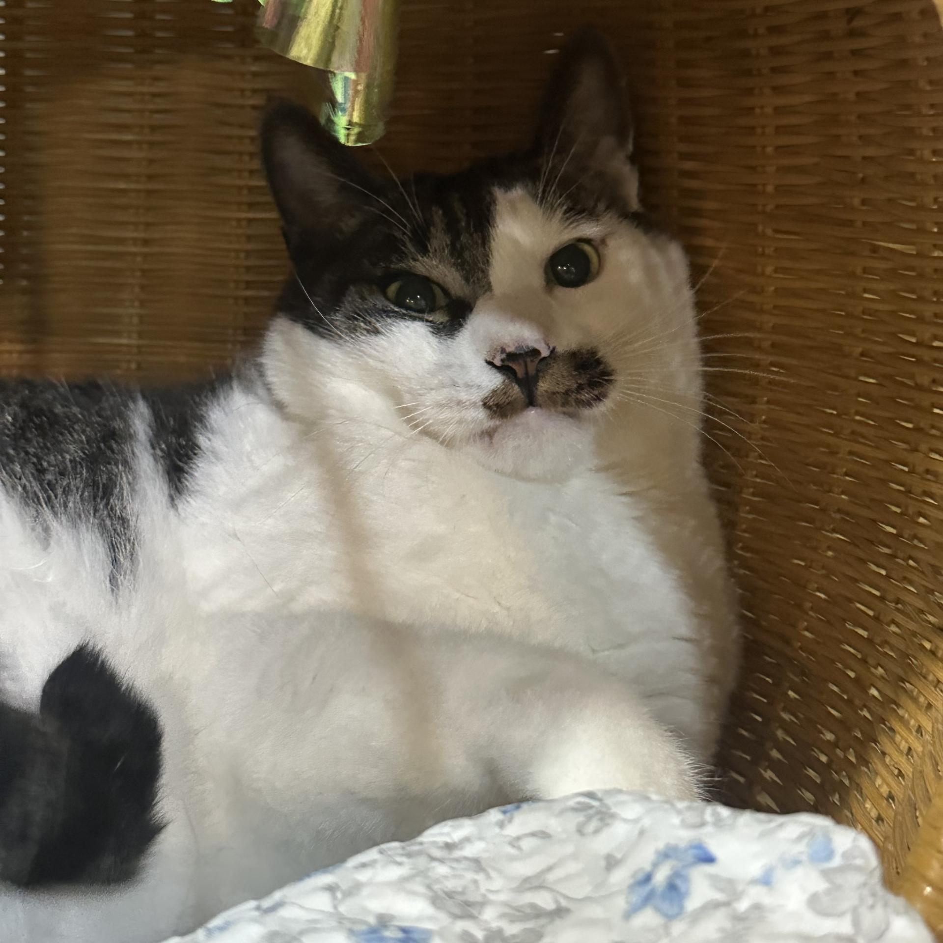 419577b05b86a.jpg